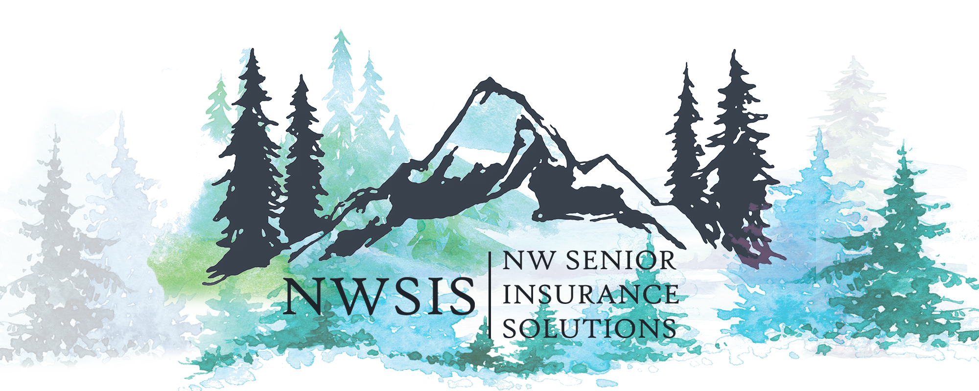 NW Senior Insurance Solutions Header Transparent